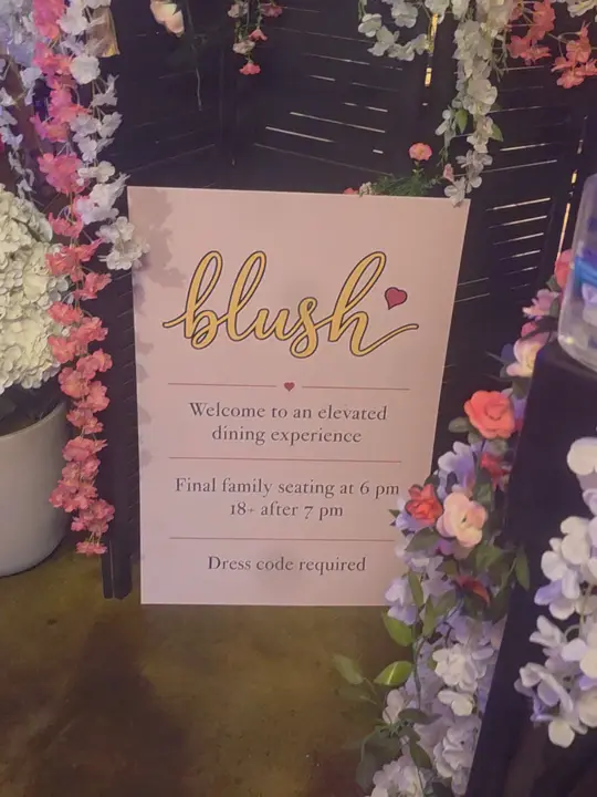 Blush, LLC in Springfield showing review, visit, video by cuttyboy912 on TikTok