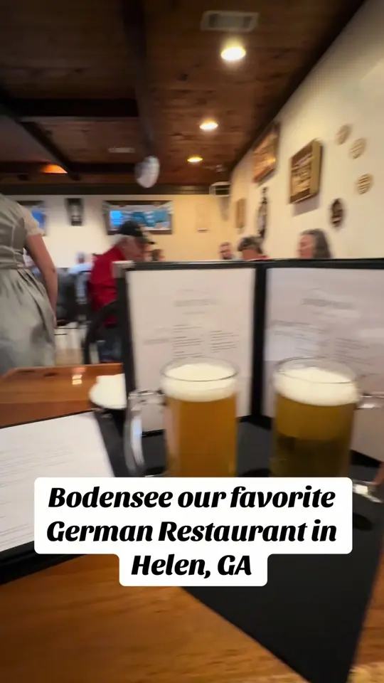 Bodensee in Helen showing review, german food, video by louannschultz on TikTok
