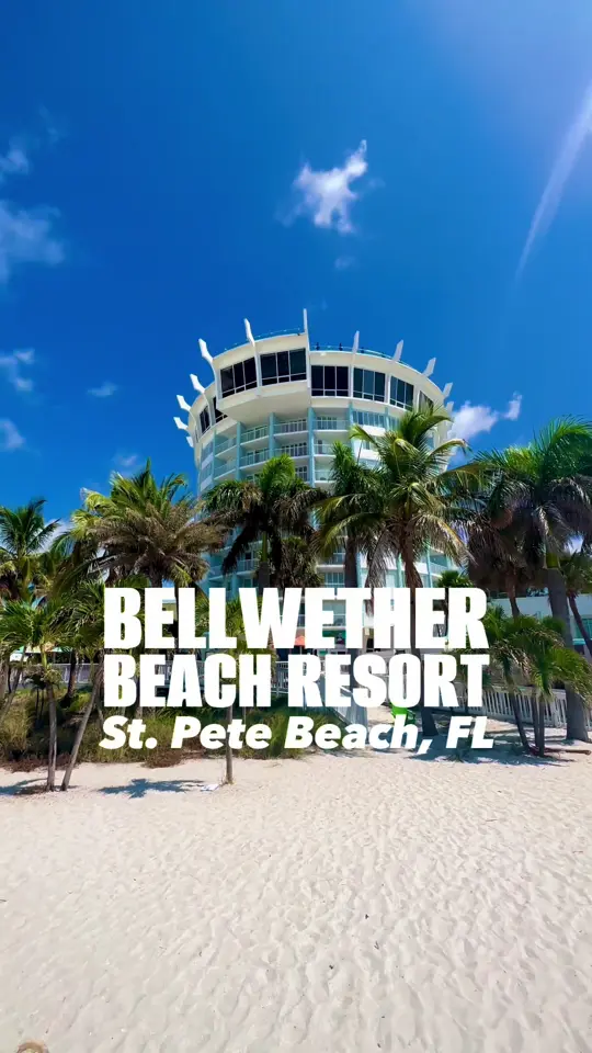 Bongos Beach Bar And Grille in St. Pete Beach showing dining, toes in the sand, video by thingstodotampabay on TikTok