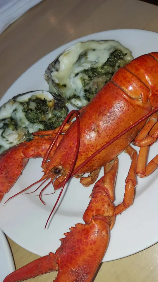 Boston Lobster Feast in Orlando showing seafood, lobster feast, video by feedthelady on TikTok