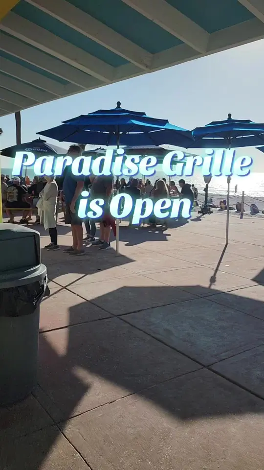 Brass Monkey in St. Pete Beach showing food, lunch, breakfast, atmosphere, video by beachlifeflorida on TikTok