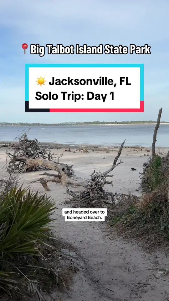 Brix Taphouse in Jacksonville showing visit, chill dinner, video by travelingterry on TikTok