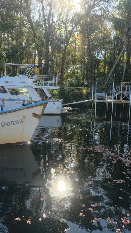 Brooks Dockside Seafood (Food Truck) in Inglis showing commercial fishing, fresh catch, wild caught fish, video by Brooks Dockside Seafood on Facebook