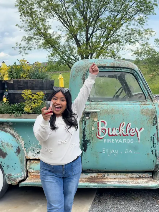 Buckley Vineyards in Ellijay showing visit, atmosphere, mountain views, wine, red wine, sparkling wine, video by pickellijay on TikTok
