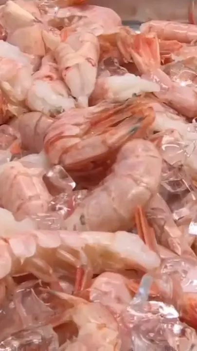 Buddy's Seafood Market in Panama City Beach showing seafood, wild-caught florida shrimp, fresh gulf fish, video by Beach TV - Panama City Beach, FL on Facebook