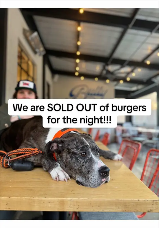 BULLY RUN Smash Burgers and Milk Shakes in Canton showing review, smash burgers, milk shakes, video by bully.run.canton on TikTok