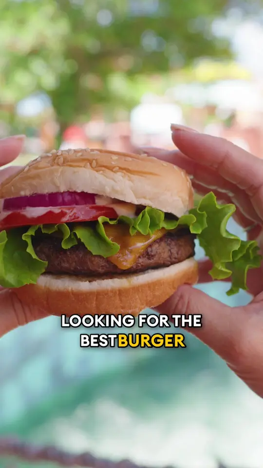Burger U in Orlando showing review, wimpy’s wellington cheeseburger, special mayo ketchup sauce, curly fries, video by undercovertourist on TikTok