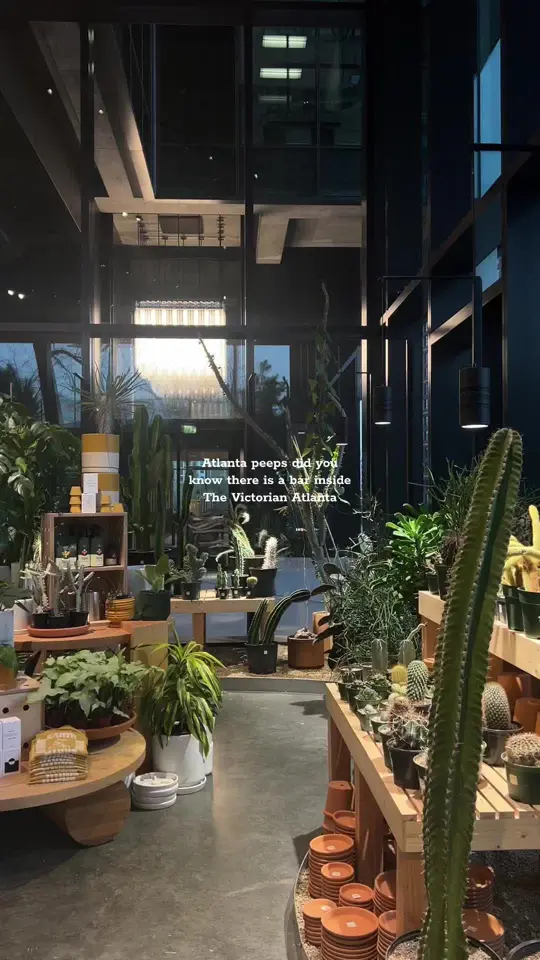 Burle's Bar in Atlanta showing cocktail, speakeasy, video by madoleapproved on TikTok