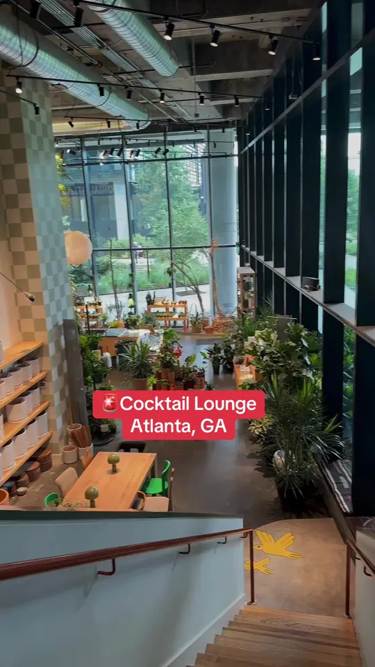 Burle's Bar in Atlanta showing cocktail lounge, jazz night, pizza, peaceful atmosphere, video by _spottedinatl on TikTok