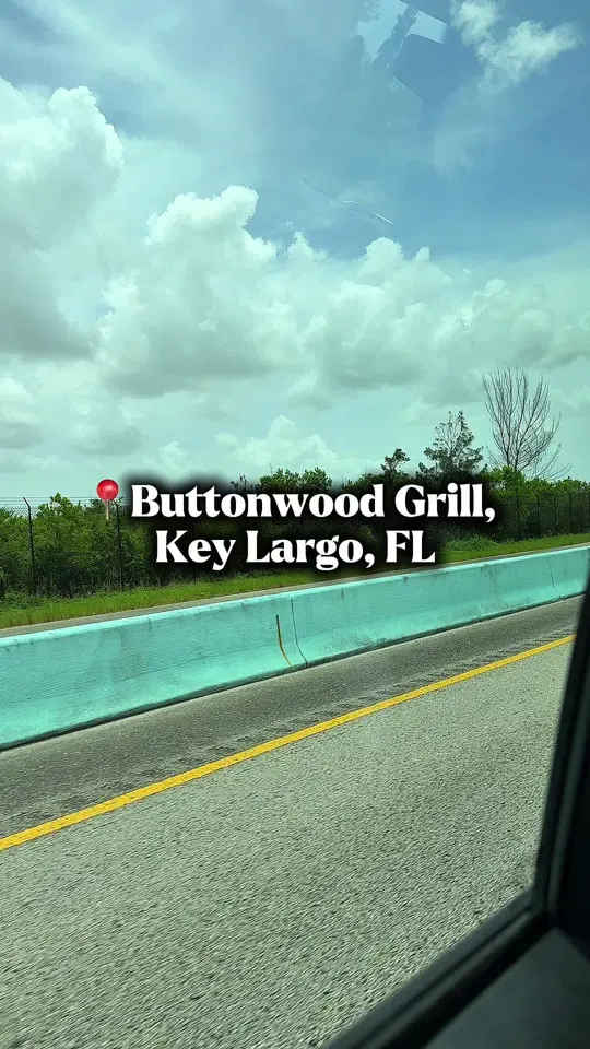  in Florida showing restaurant, waterfront views, fresh seafood, video by yaineneighbor on TikTok