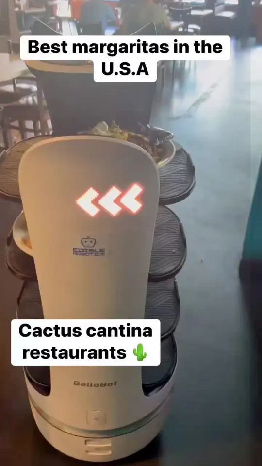 Cactus Cantina Tacos & Tequila Bar in Alpharetta showing visit, mexican food, video by cactuscantina_ on TikTok