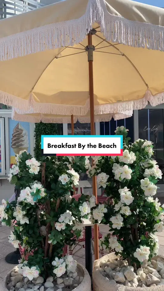 CAFE CLUB in Hollywood showing breakfast, beach view, video by cheyennetheblogger on TikTok