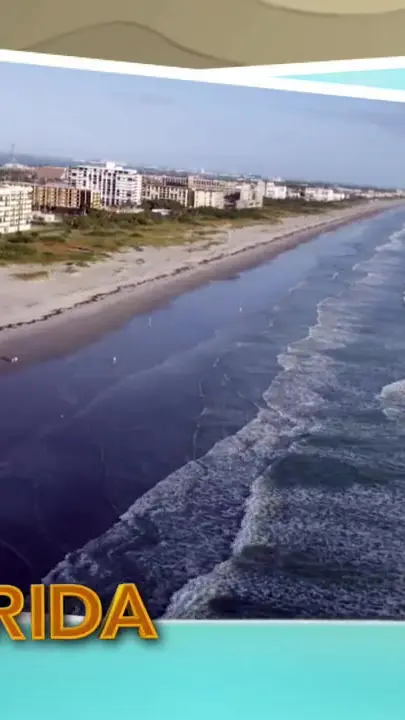 Cafe Coconut Cove in Melbourne Beach showing restaurant, feature, video by Cafe Coconut Cove on Facebook