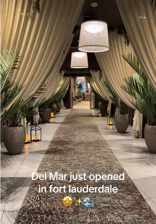 Cafe Del Mar in Miami Beach showing restaurant, beachfront location, food, video by thebrowardscene on TikTok