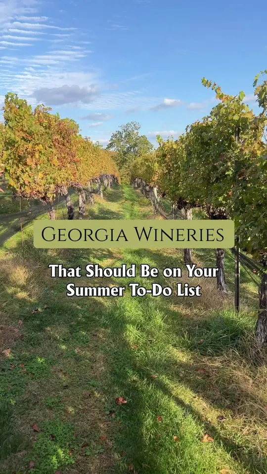 Cairn View Winery in Jasper showing visit, relaxing outdoor spaces, video by fellowfarertrue on TikTok