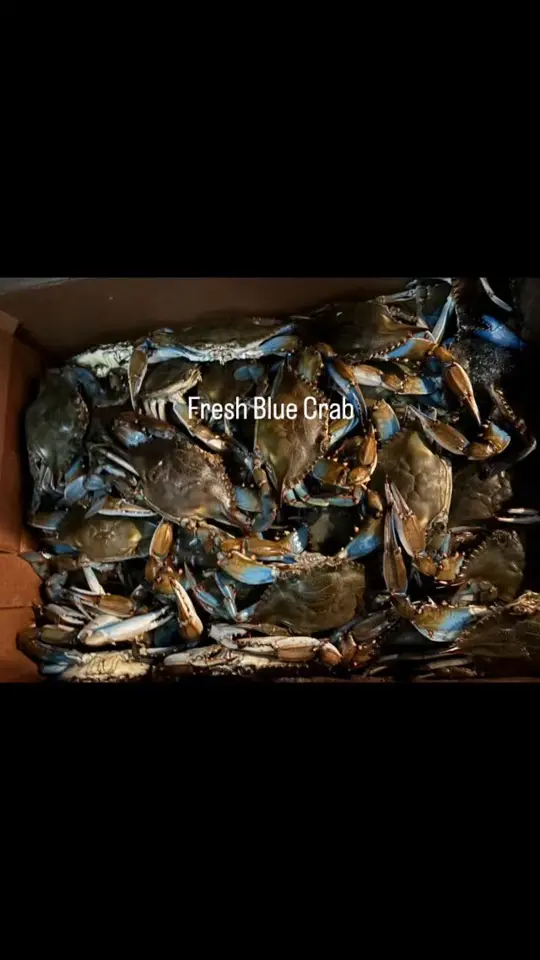 Cajun Corner in Marianna showing food, drinks, video by Cajun Corner on Facebook