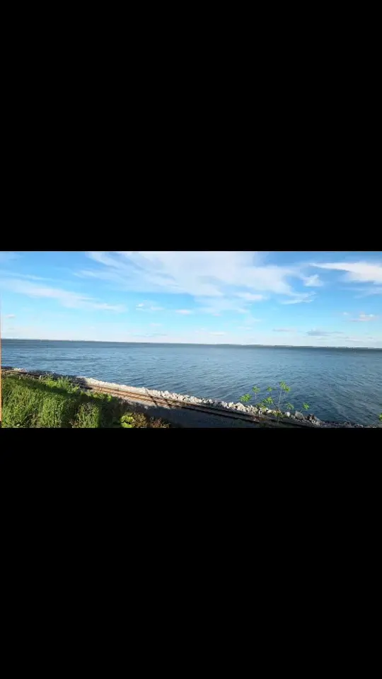 Calvert's In The Heights in Pensacola showing atmosphere, view, video by Calvert's in the Heights on Facebook