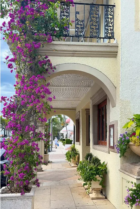 Campiello in Naples showing review, visit, video by kelleylifestyletravel on TikTok