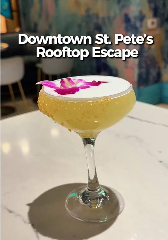 Cane & Barrel Rooftop Bar in St. Petersburg showing cocktail, tostones coronado con camarones, mojo chicharrón tropicale, simple greens avocado and parmesan, video by eatlocalflorida on TikTok