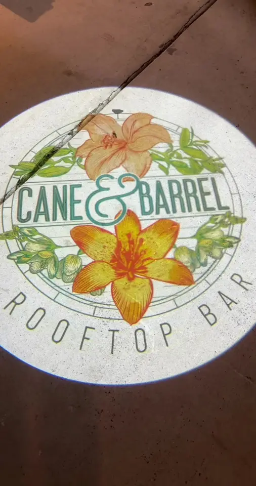Cane & Barrel Rooftop Bar in St. Petersburg showing cocktail, la guayabera martini, cocktail, pomegranate mojito, video by feedingtampabaes on TikTok
