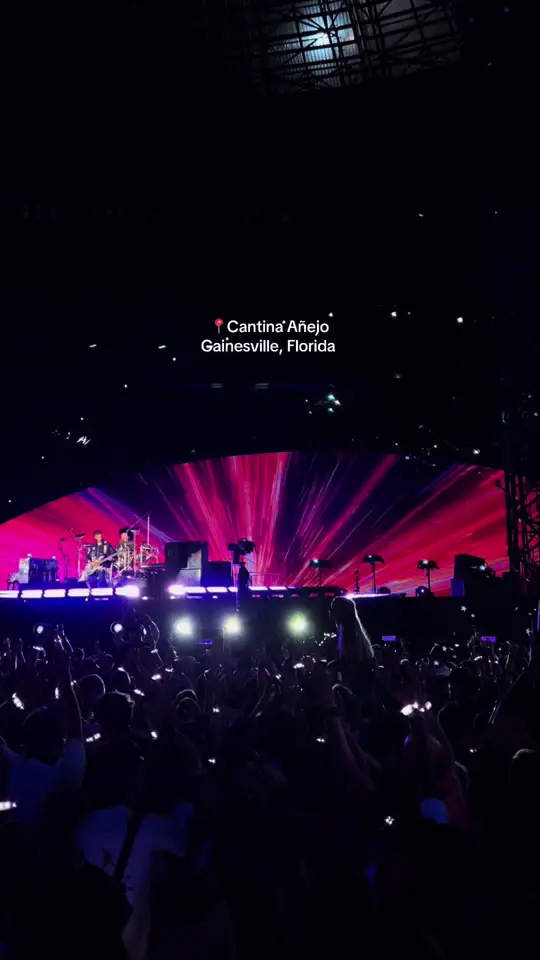 Cantina Añejo in Gainesville showing bar, atmosphere, video by holycannollii on TikTok