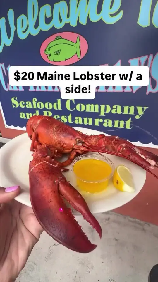 Captain Brian's Seafood Market & Restaurant in Sarasota showing food, lobster, crab legs, video by tanyainsarasota on TikTok