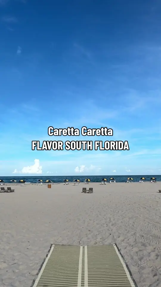 Caretta Caretta in Riviera Beach showing review, visit, asian wings, crab fritters, caribbean chicken, grilled skirt steak, 7-layer chocolate cake, key lime pie, snapper ceviche, video by trinitiffy on TikTok