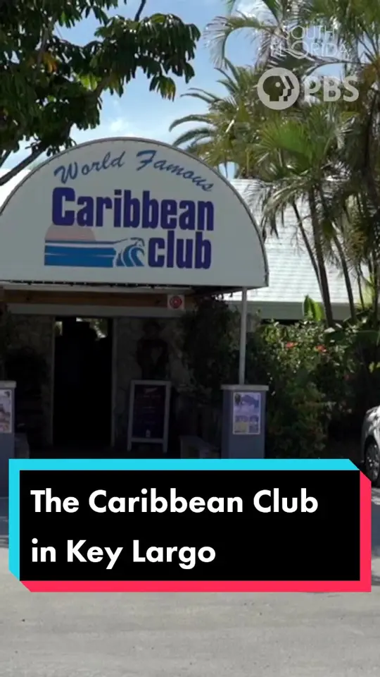 Caribbean Club in Key Largo showing bar, history, movie location, video by southfloridapbs on TikTok