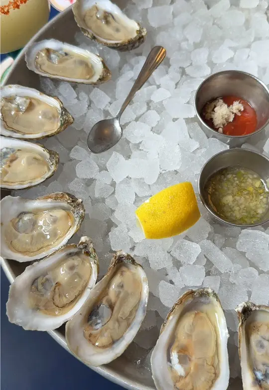 Cheeky's Fish & Raw Bar in St. Petersburg showing happy hour, oysters, drinks, video by thisjenngirl on TikTok
