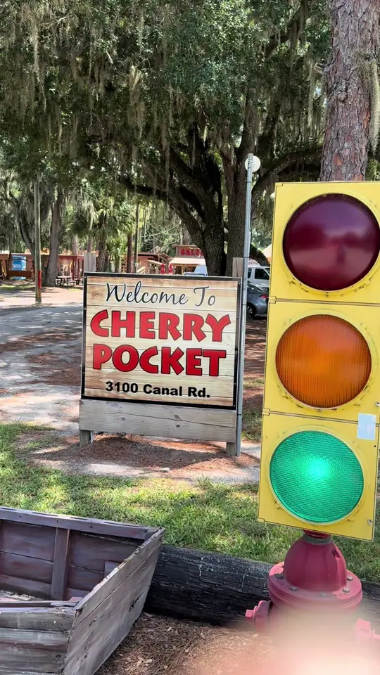 Cherry Pocket Steak n Seafood in Lake Wales showing restaurant visit, fried seafood, gator bites, bayou gumbo, cracker platter, catfish, grooper, mushrooms, zucchini, extra gator, twisted tea, video by roadtripsgoodtimes on TikTok