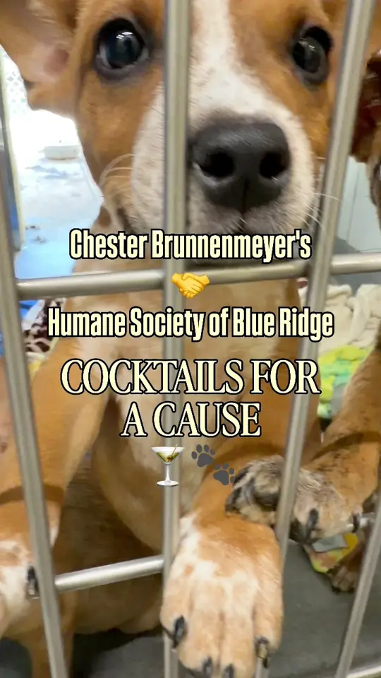 Chester Brunnenmeyer's Bar & Grill in Blue Ridge showing cocktail, the marmaduke, video by Humane Society of Blue Ridge on Facebook