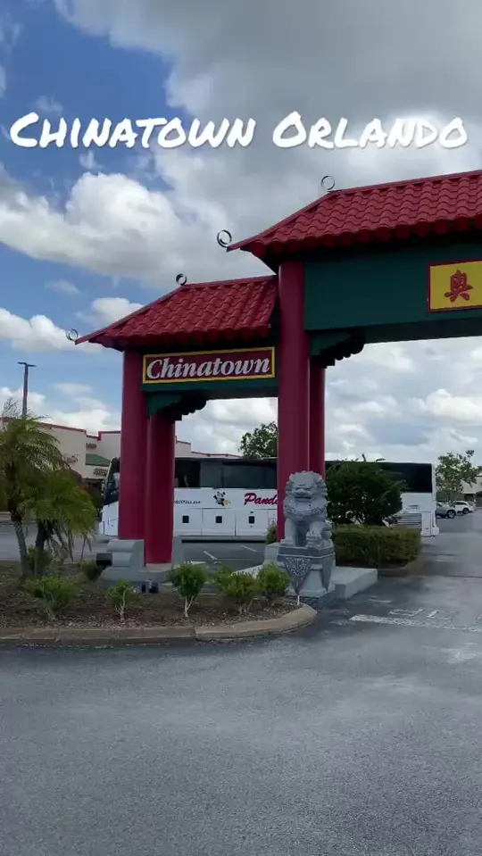 CHINA TOWN RESTAURANT on TikTok, video by hungrypolarbeareats