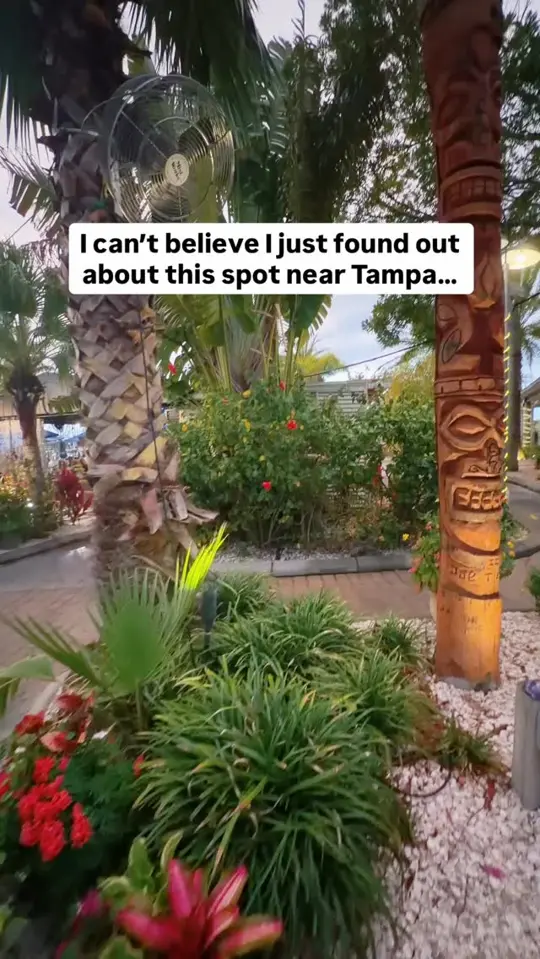 Circles Waterfront Restaurant in Apollo Beach showing review, waterfront spot, drink menu, seafood, steaks, casual bites, video by Florida Travel Guide on Facebook