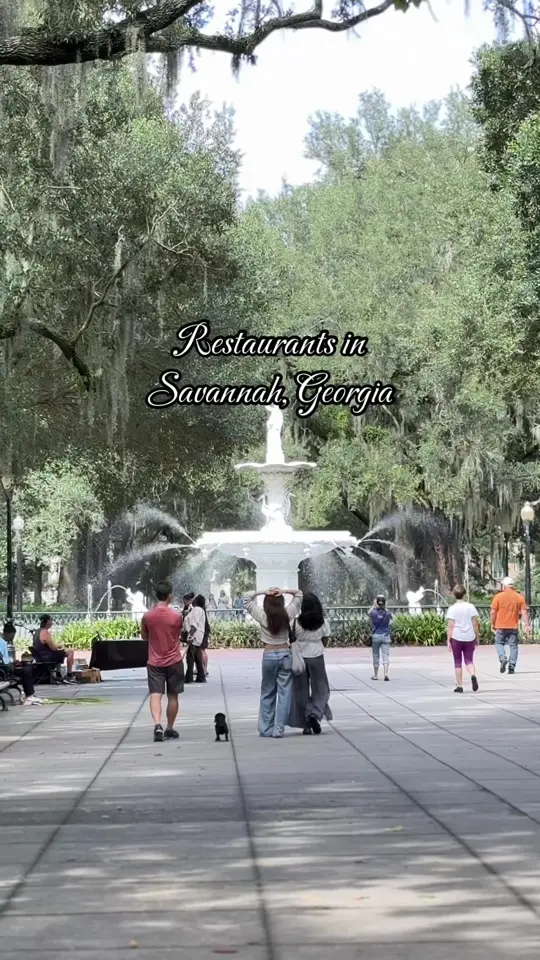 Coco and Moss in Savannah showing brunch, restaurant visit, video by kristayley on TikTok
