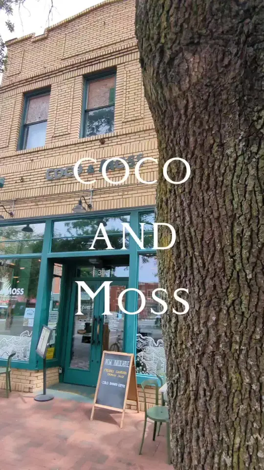 Coco and Moss in Savannah showing review, atmosphere, lunch, video by savannahmadesimple on TikTok