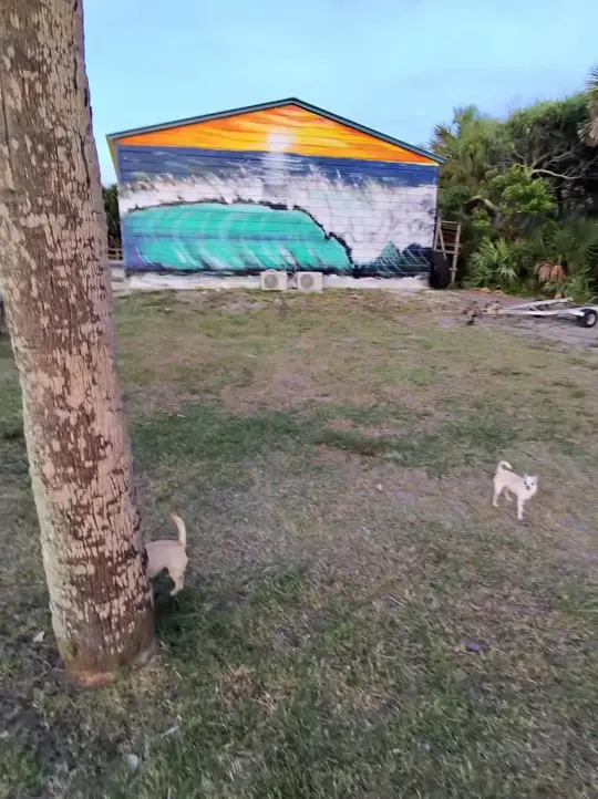 Cocoa Beach Fish Camp in Cocoa Beach showing visit, hidden gem, video by mrheynowandej on TikTok