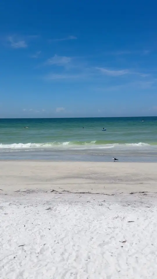Coconut Charlie's North Redington Beach in North Redington Beach showing visit, drinks, video by Katiya Plummer on Facebook