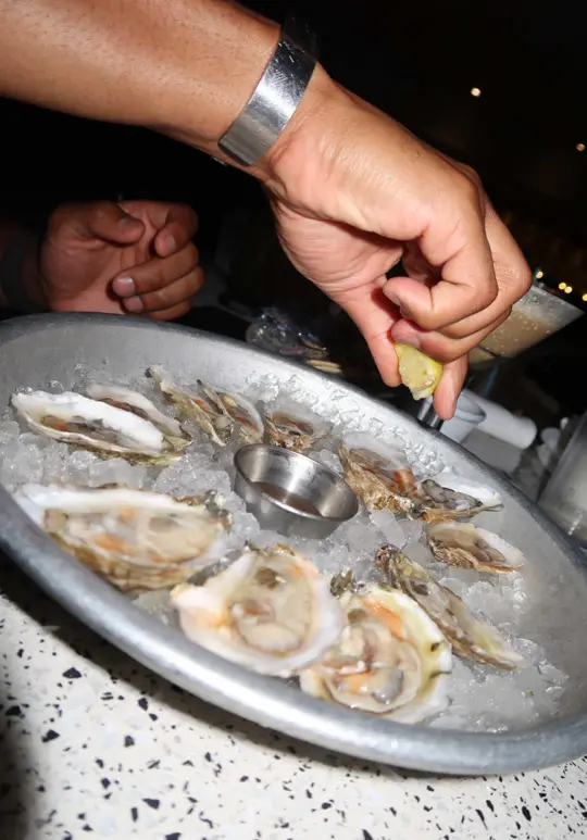 Coconuts in Fort Lauderdale showing seafood restaurant, review, video by pposhmiles on TikTok