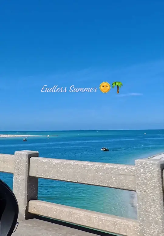  in Florida showing visit, clear water, cafe on the sand, dolphins, video by coastaloasisadventures on TikTok