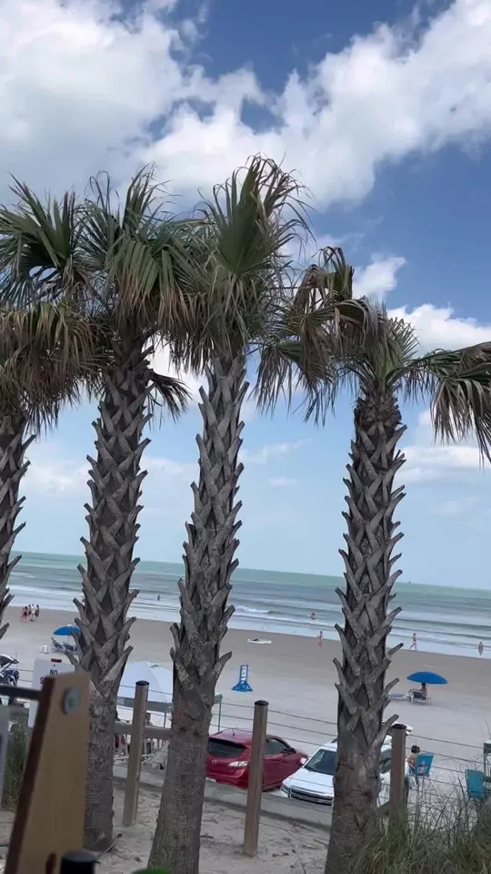 Crabby’s Oceanside in Daytona Beach showing food review, visit, video by gypsyfoodman on TikTok