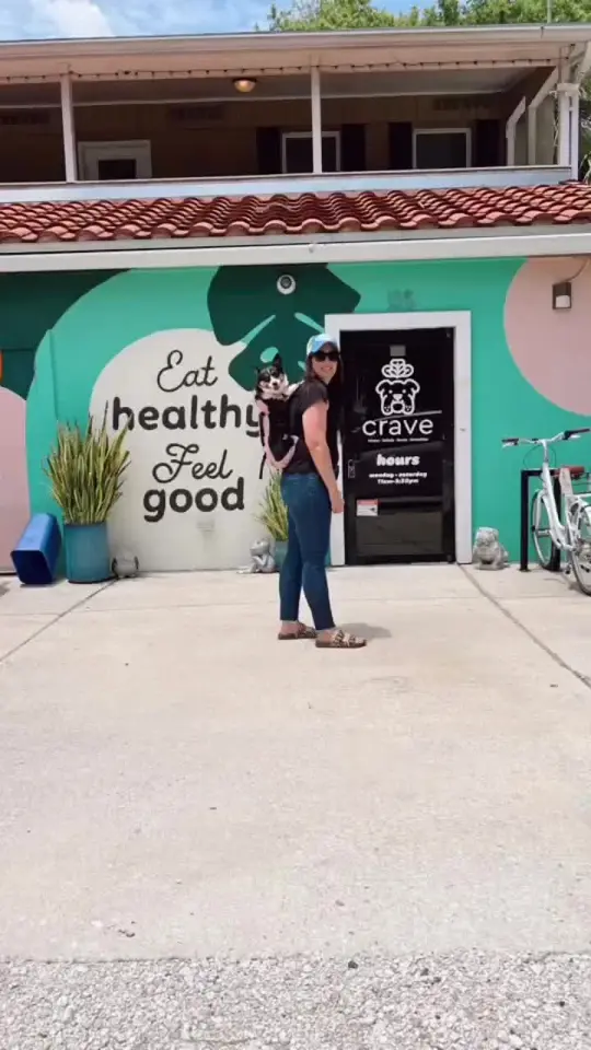 Crave in St. Augustine showing dog friendly lunch spot, downtown st. augustine, video by adventurepets.staug on TikTok