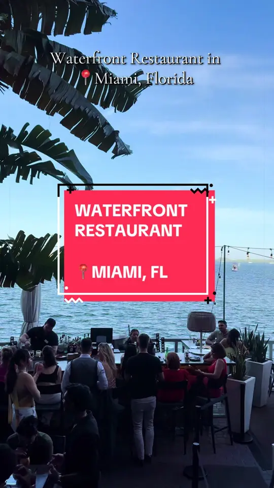 Dolores But You Can Call Me Lolita Miami in Florida showing review, happy hour, video by travelbyjayy on TikTok