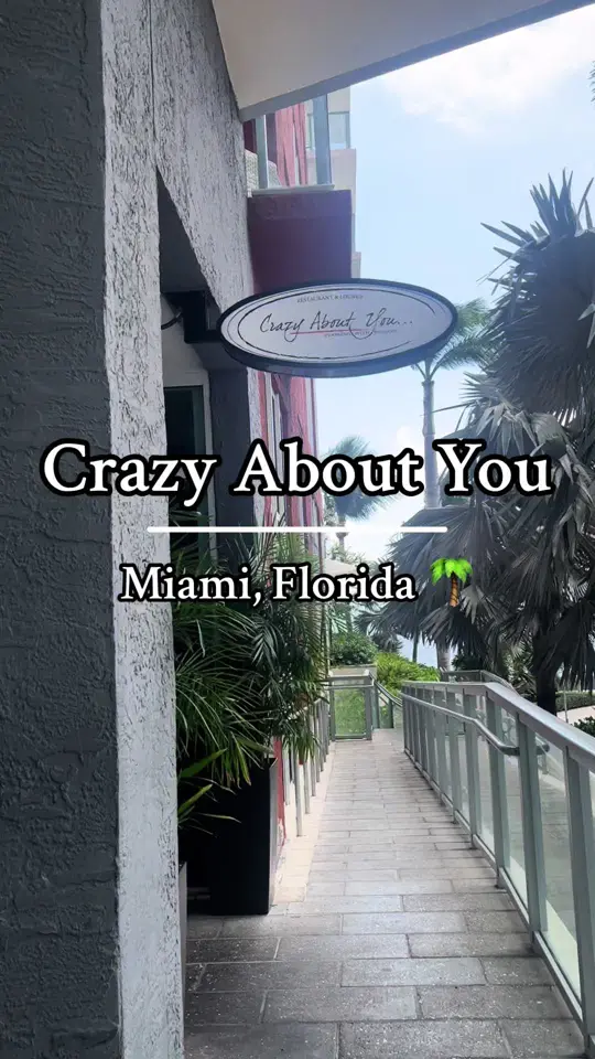 Crazy About You in Miami showing review, calamari pizza, salmon with mashed potatoes, video by deeg211 on TikTok