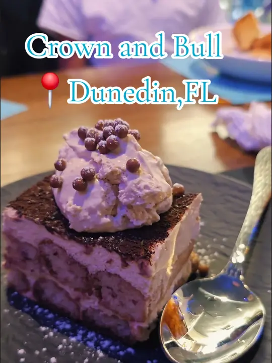Crown and Bull in Dunedin showing review, food, atmosphere, patio, video by isabel_r_valdez on TikTok