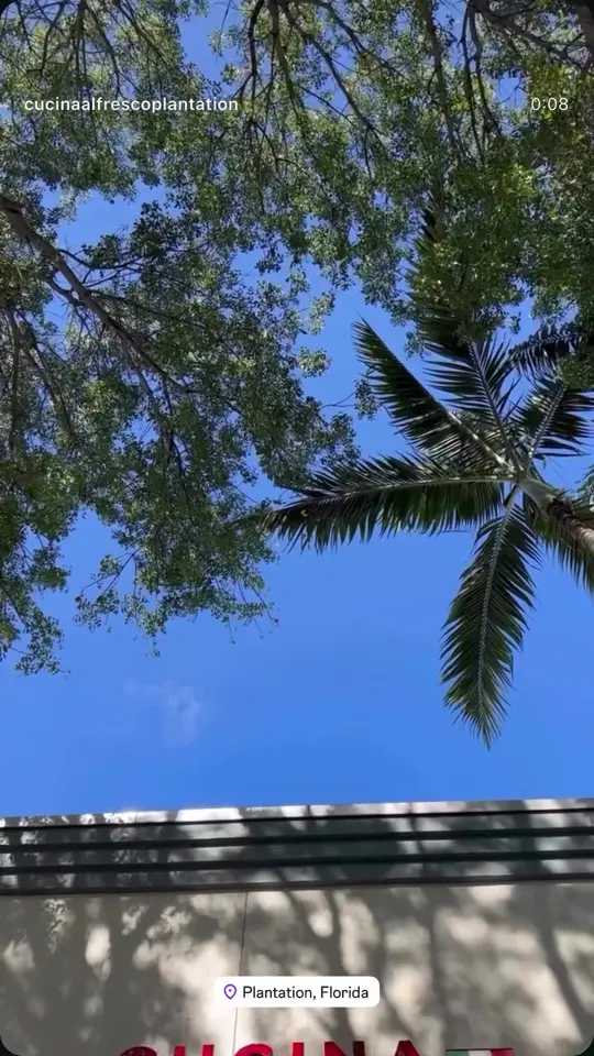  in Florida showing italian food, cozy atmosphere, wine, video by cucina.alfresco on TikTok