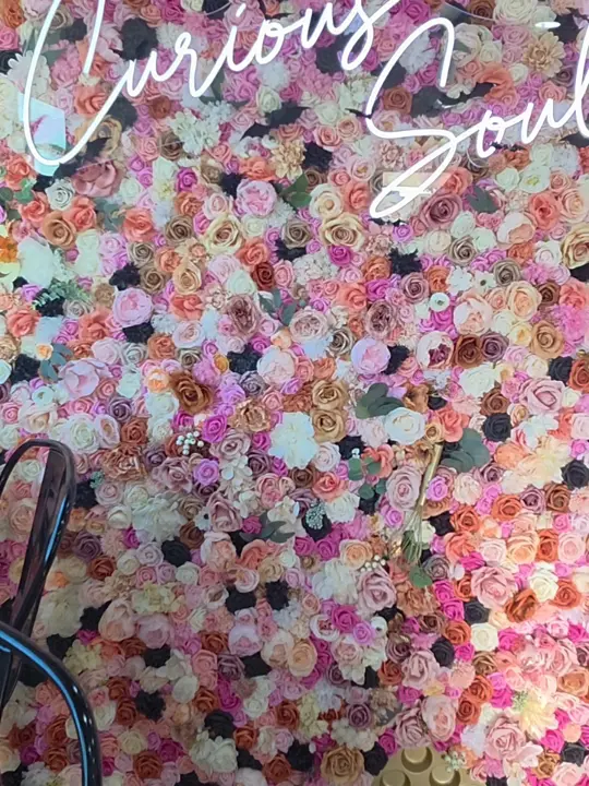 Curious Soul Bakery & Coffee Shop in Treasure Island showing food, sourdough / food, bagels / food, baked goods / drink, coffee, video by kelliesmagicaltravel on TikTok