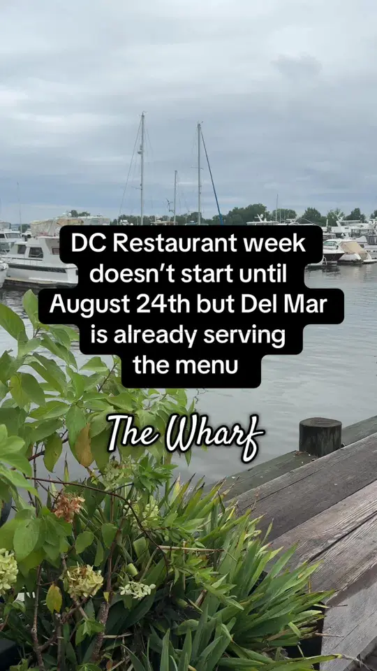 Del Mar - West Palm Beach in West Palm Beach showing review, visit, paella fideuà, spanish noodles, cuttlefish, mussels, video by travel4hikes on TikTok