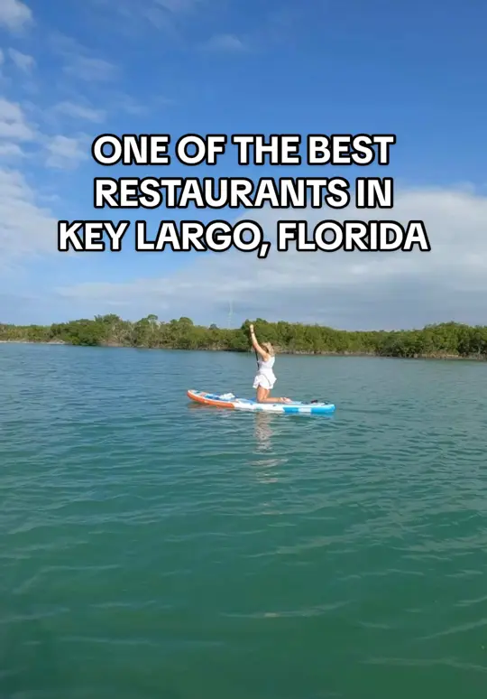 DiGiorgio's Cafe Largo in Key Largo showing review, visit, video by itsalyssablake on TikTok