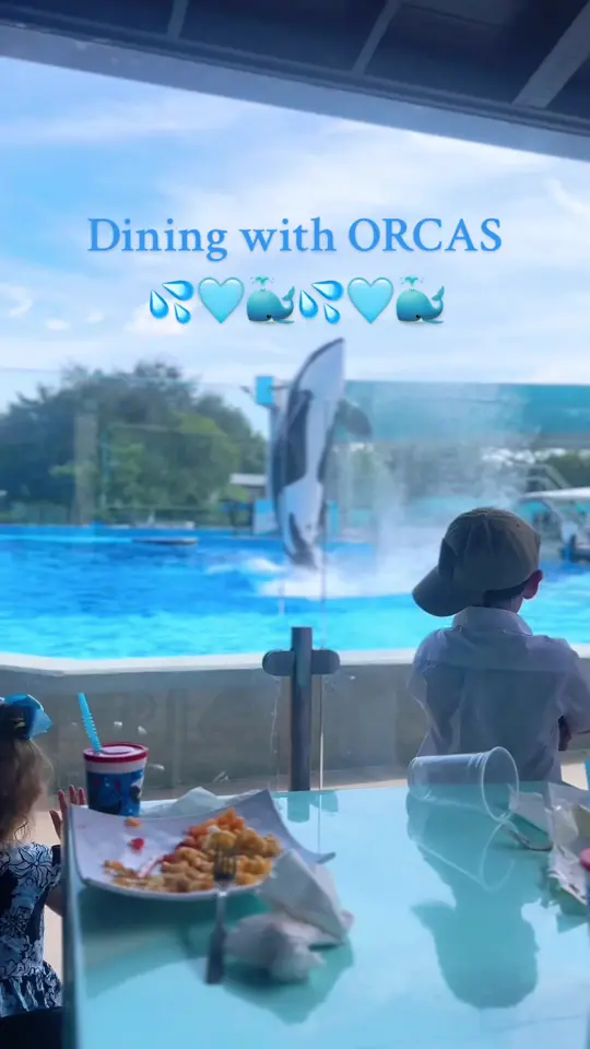 Dine With Orcas in Orlando showing review, visit, food, meal, dessert, show, video by jportwood19 on TikTok