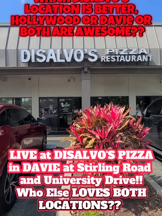 Disalvo's Pizza & Italian Restaurant on TikTok, video by flashback.south.f